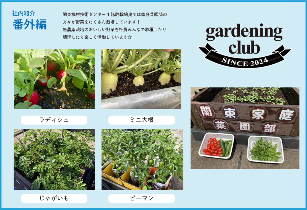 社内紹介 番外編編